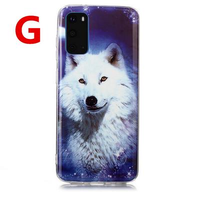 Luminous Colored Painting Shockproof Anti-Scratch Soft TPU Back Cover Case for Samsung Galaxy S20