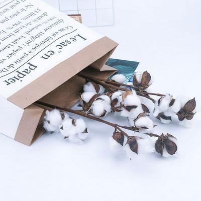 Natural Cotton Stems Dried Flower Branch Real Touch Mock Flower for Home Decoration 