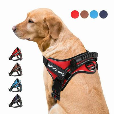 Small Medium Large Dog Harness Vest Breathable No Pull Dog Training Harness Adjustable Teddy Golden Retriever Vest Chest Strap Pet Dog Supplies 