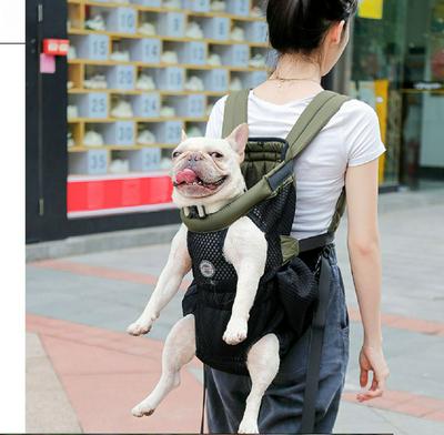 Pet Carry Backpack Outdoor Travel Light Mesh Breathable Carrying Bag for Dog and Cat