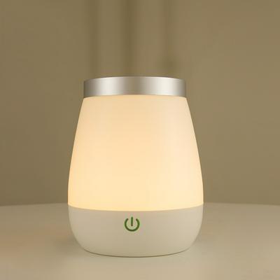 250ml Vase Night Lights LED Rechargeable Decorative Lamp with Color Changing 