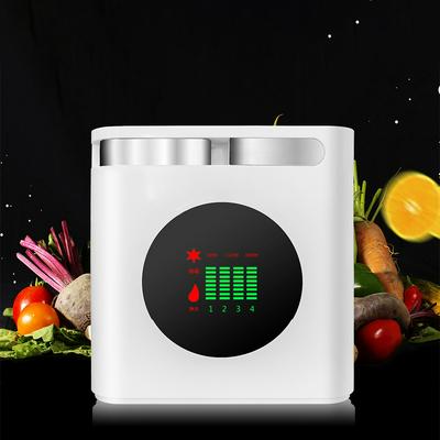 Fruit and Vegetable Water Purifier Ozone Detoxification Machine Disinfection Water Purification Machine