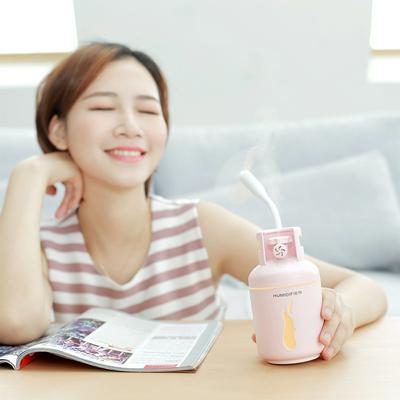 300ml Portable Car Humidifier USB Mini Aroma Diffuser in Gas Container Shape