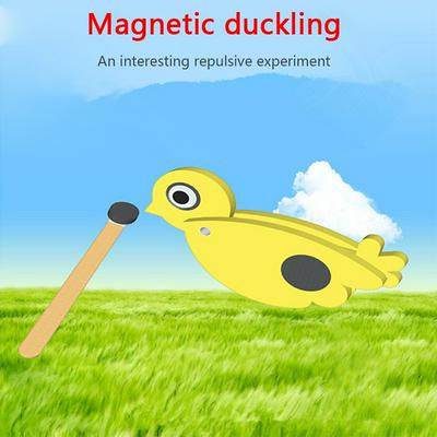 Learning Resources Magnetic Samll Duck Model Science Experiment Aid