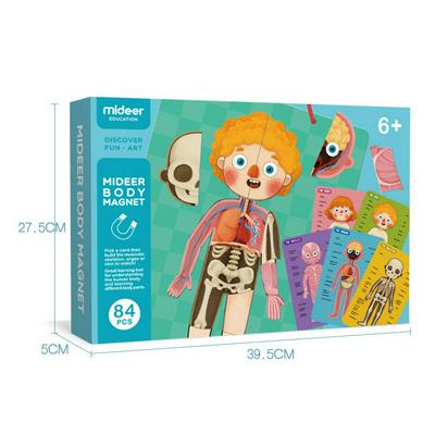 Children's Early Childhood Education Educational Toys Magnetic Human Structure Cognitive Puzzle 4 Layers