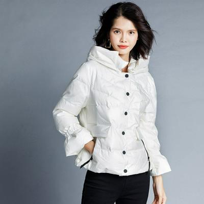 Stand Collar Hooded Down Jacket Coat Female Costume Warm Short Slim with Large Size