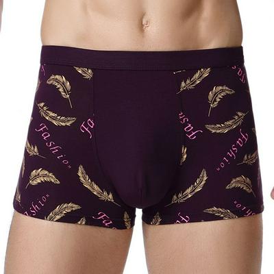 Men's Underwear Print Mid Waist Comfortable Underwear Men's Boxer Brief