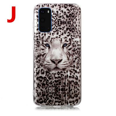 Luminous Colored Painting Shockproof Anti-Scratch Soft TPU Back Cover Case for Samsung Galaxy S20