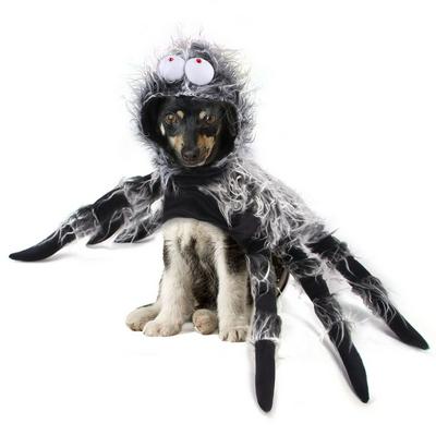 Pet Halloween Funny Big Spider Chest Back Creative Transformation Costume for Cat and Large Dog 