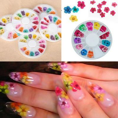 36Pcs 12 Colors Real Nail Dried Flowers Nail Art Decoration DIY Tips with Case Small Flowers Nails Rhinestones Manicure Tools