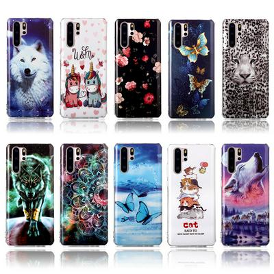 Luminous Colored Painting Shockproof Anti-Scratch Soft TPU Back Cover Case for Huawei P30 Pro