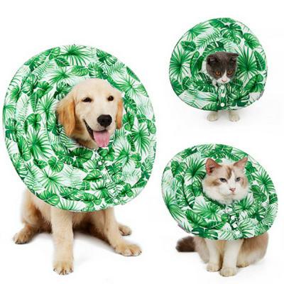 Pet Summer Swimming Ring Creative Elizabeth Lightweight Multifunctional Anti-licking Collar for Cat and Dog