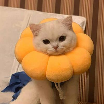 Adjustable Sunflower Elizabeth Protection Circle Soft and Comfortable Anti-licking Ring for Cat and Dog