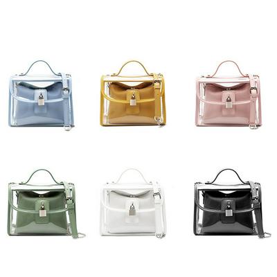 Women's Small Clear Crossbody Bag Transparent Purse Handbag with Metal Lock
