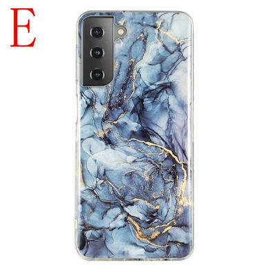 For Samsung Galaxy S21+ 5G Colored Painting Drop Protection Anti-Scratch Soft TPU Phone Case