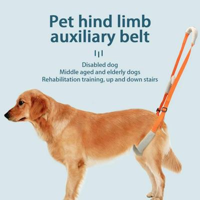 Pet Rear Leg Support Aid Sling Pet Dog Lift Harness for Elderly Dog With Poor Stability Back Legs Hip Disabled Joint Injury