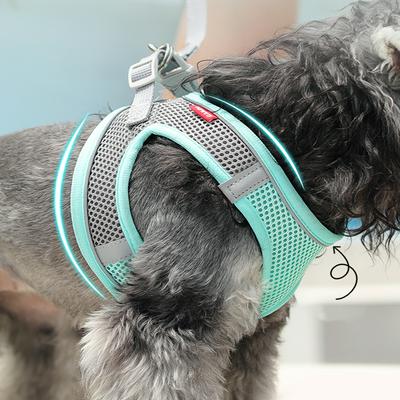 Dog Vest Harness and Leash Set Puppy Cat Mesh Harness Reflective Adjustable Chest Strap Chihuahua Bulldog Walking Straps Pet Supplies